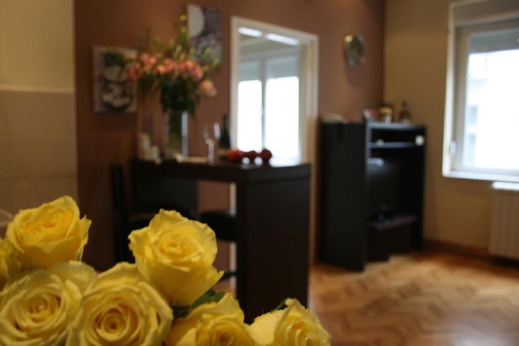 Belgrade Stay Apartments Rum bild
